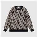 DIOR¿ëXS-L